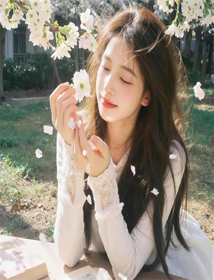 探索《伤疤的故事》的奥秘：隐藏细节与深层意义